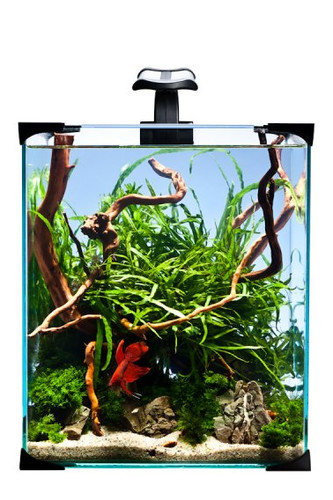Aquariums set nano led 10l - set,