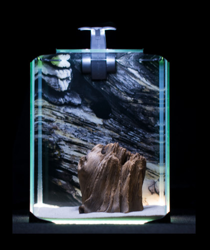 Aquariums set neo light 10l - aquariums,